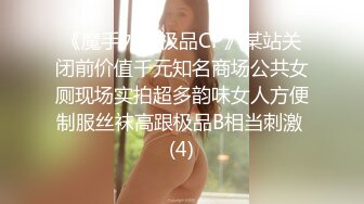 《魔手外购极品CP》某站关闭前价值千元知名商场公共女厕现场实拍超多韵味女人方便制服丝袜高跟极品B相当刺激 (4)