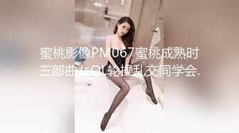 蜜桃影像PM067蜜桃成熟时三部曲女OL轮操乱交同学会.