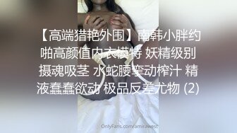 【高端猎艳外围】南韩小胖约啪高颜值内衣模特 妖精级别摄魂吸茎 水蛇腰挛动榨汁 精液蠢蠢欲动 极品反差尤物 (2)