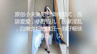 微胖小少妇享受快乐（三）