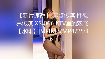 【新片速遞】 起点传媒 性视界传媒 XSJ066 KTV里的双飞【水印】[504MB/MP4/25:36]