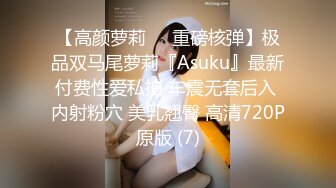 【高颜萝莉❤️重磅核弹】极品双马尾萝莉『Asuku』最新付费性爱私拍 车震无套后入 内射粉穴 美乳翘臀 高清720P原版 (7)