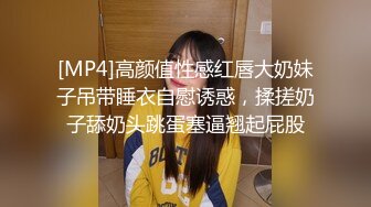 [MP4]高颜值性感红唇大奶妹子吊带睡衣自慰诱惑，揉搓奶子舔奶头跳蛋塞逼翘起屁股