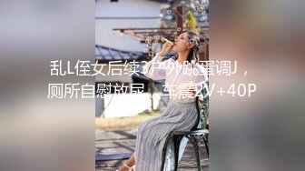 乱L侄女后续3户外跳蛋调J，厕所自慰放尿，车震2V+40P