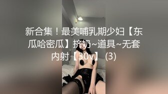 新合集！最美哺乳期少妇【东瓜哈密瓜】挤奶~道具~无套内射【30v】 (3)