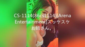 CS-1114(86cs1114)[ArenaEntertainment]スッケスケお姉さん。