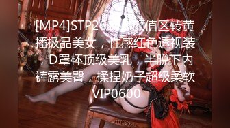 [MP4]STP26168 颜值区转黄播极品美女，性感红色透视装，D罩杯顶级美乳，半脱下内裤露美臀，揉捏奶子超级柔软 VIP0600