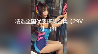 精选全国优质探花合集【29V】  (3)