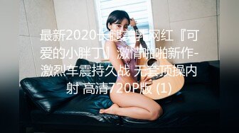 最新2020长腿美乳网红『可爱的小胖丁』激情啪啪新作-激烈车震持久战 无套顶操内射 高清720P版 (1)