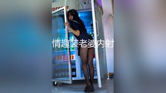 情趣装老婆内射