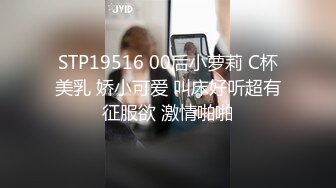 国产麻豆AV 番外 SYL003 性侵女老师