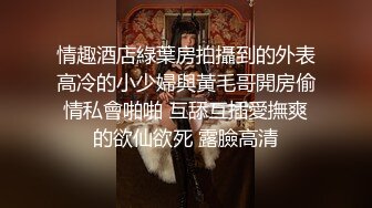 情趣酒店綠葉房拍攝到的外表高冷的小少婦與黃毛哥開房偷情私會啪啪 互舔互插愛撫爽的欲仙欲死 露臉高清