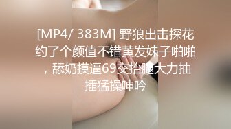 [MP4/ 383M] 野狼出击探花约了个颜值不错黄发妹子啪啪，舔奶摸逼69交抬腿大力抽插猛操呻吟