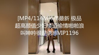 《顶级女模震撼泄密》颜值巅峰秀人网长腿女神模特【浅浅】私拍视图流出，肉丝无内透毛黑森林露点粉乳头