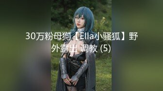 30万粉母狗【Ella小骚狐】野外露出 调教 (5)