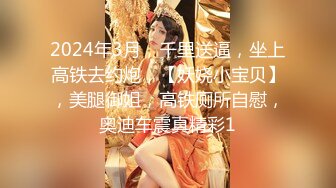 2024年3月，千里送逼，坐上高铁去约炮，【妖娆小宝贝】，美腿御姐，高铁厕所自慰，奥迪车震真精彩1