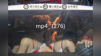 mp4_ (276)