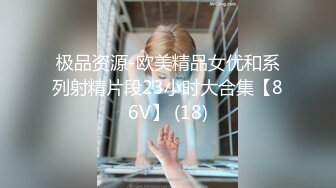 极品资源-欧美精品女优和系列射精片段23小时大合集【86V】 (18)