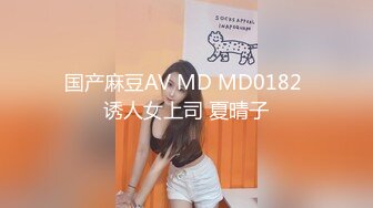 国产麻豆AV MD MD0182 诱人女上司 夏晴子