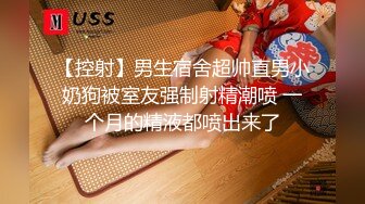 女神修长美腿性感肉丝袜屁股又大又翘