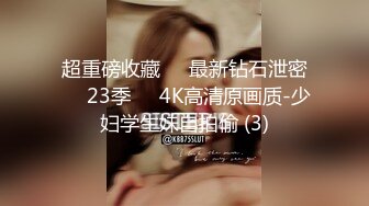 超重磅收藏❤️最新钻石泄密❤️23季❤️4K高清原画质-少妇学生妹自拍偷 (3)