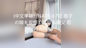 (中文字幕) [NATR-670] 息子の嫁を妄想で寝取る義父 若月みいな