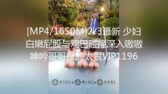 [MP4]上门操大奶少妇，透视装翘起屁股口交，脱掉内裤掰穴特写，抬起腿一下下抽插撞击