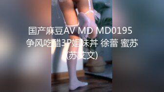 国产麻豆AV MD MD0195 争风吃醋3P姐妹丼 徐蕾 蜜苏(苏艾文)