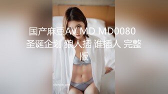 国产麻豆AV MD MD0080 圣诞企划 狼人插 谁插人 完整版