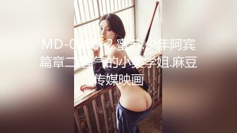 MD-0165-2.蜜苏.少年阿宾篇章二.骚气的小美学姐.麻豆传媒映画