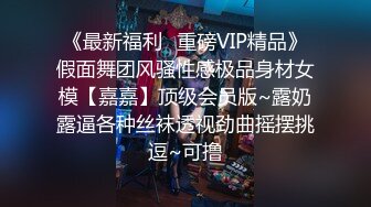 《最新福利✿重磅VIP精品》假面舞团风骚性感极品身材女模【嘉嘉】顶级会员版~露奶露逼各种丝袜透视劲曲摇摆挑逗~可撸