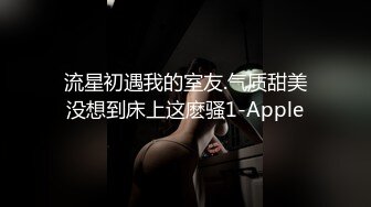 流星初遇我的室友.气质甜美没想到床上这麽骚1-Apple