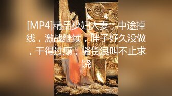 [MP4]精品少妇人妻，中途掉线，激战继续，胖子好久没做，干得过瘾，骚货浪叫不止求饶