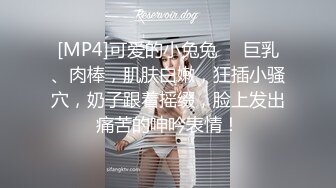 [MP4]可爱的小兔兔❤️巨乳、肉棒，肌肤白嫩，狂插小骚穴，奶子跟着摇缀，脸上发出痛苦的呻吟表情！