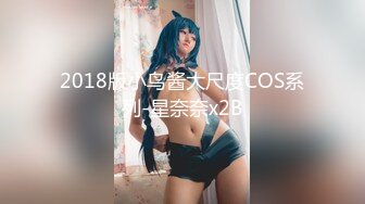 2018版小鸟酱大尺度COS系列-星奈奈x2B