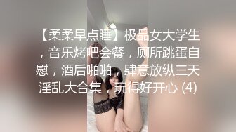 空姐女友的白丝，有对白，