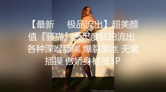 自慰的骚老婆2