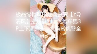 极品绿帽NTR翘臀骚妻【YQ清风】推特福利，约炮单男3P上下洞齐开，完美蜜桃臀全自动 (1)