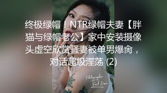 终极绿帽！NTR绿帽夫妻【胖猫与绿帽老公】家中安装摄像头虚空欣赏骚妻被单男爆肏，对话超级淫荡 (2)