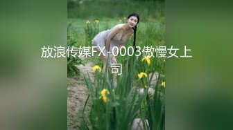 放浪传媒FX-0003傲慢女上司