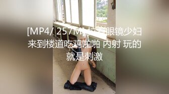 [MP4/ 257M] 拉着眼镜少妇来到楼道吃鸡啪啪 内射 玩的就是刺激