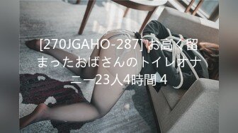 [270JGAHO-287] お高く留まったおばさんのトイレオナニー23人4時間 4