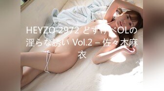 HEYZO 2972 どすけべOLの淫らな誘い Vol.2 – 佐々木麻衣