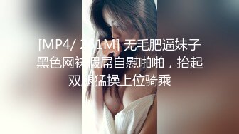 [MP4/ 261M] 无毛肥逼妹子黑色网袜假屌自慰啪啪，抬起双腿猛操上位骑乘