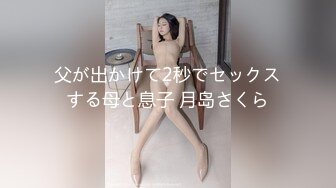 父が出かけて2秒でセックスする母と息子 月岛さくら