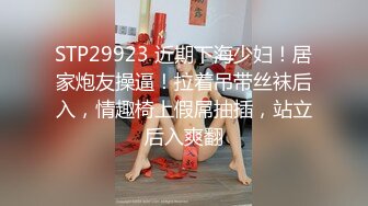 STP29923 近期下海少妇！居家炮友操逼！拉着吊带丝袜后入，情趣椅上假屌抽插，站立后入爽翻