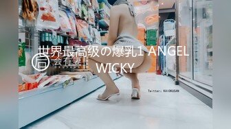 世界最高级の爆乳1 ANGEL WICKY