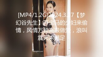 [MP4/1.2G]2024.3.27【梦幻谷先生】开宝马的少妇来偷情，风情万种高跟做爱，浪叫震天求满足