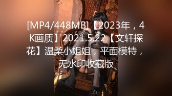 [MP4/448MB]【2023年，4K画质】2021.5.22【文轩探花】温柔小姐姐，平面模特，无水印收藏版